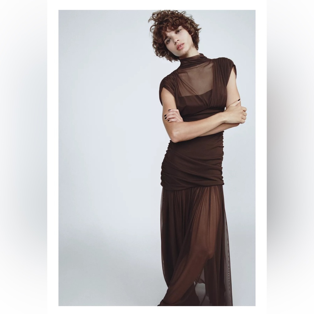 Viral Zara Brown Maxi Dress